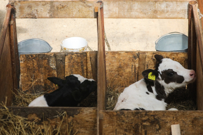 Президент Ассоциации фермеров РТ: село, крестьяне, земля &mdash; одна целая агломерация, а&nbsp;не&nbsp;только чей-то бизнес-проект