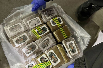 Крупнейшая в истории страны партия наркотиков изъята в Беларуси