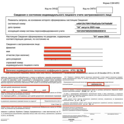 Получили выписку из СФР и ничего не поняли? Читаем документ вместе