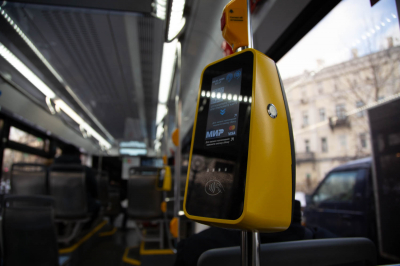 В Подмосковье лось на остановке попытался зайти в автобус