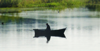 В США рыбак поймал огромного окуня и побил рекорд