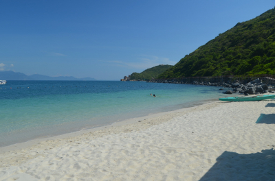 В Кении загадочно погибли 16 слонов