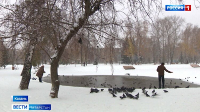 В Татарстане 14 марта ожидается туман и до +12 градусов