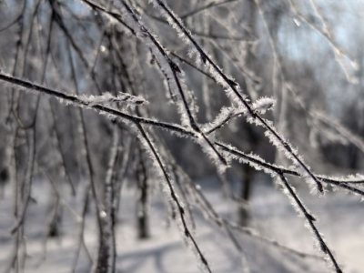 В Татарстане в ночь на вторник ударит мороз до -34 градусов