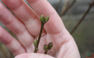 Новая неделя в Татарстане начнется с 14 градусов тепла и переменной облачности