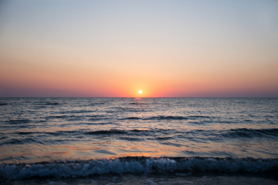 Туша луны-рыбы весом более тонны перекрыла канал в Венеции