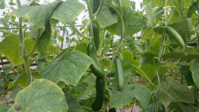 Капля речку сбережет