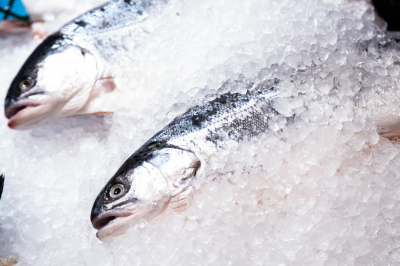 В Новосибирской области увеличат производство рыбы