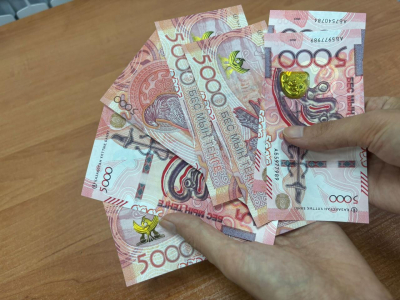 На что хотят потратить деньги из казахстанского бюджета в 2025 году