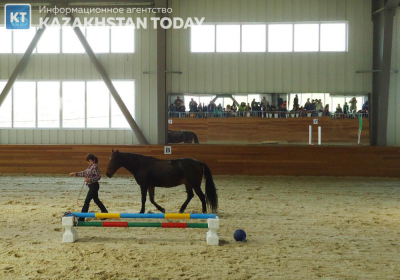 За судьбу алматинского ипподрома опасаются жители города - депутат
