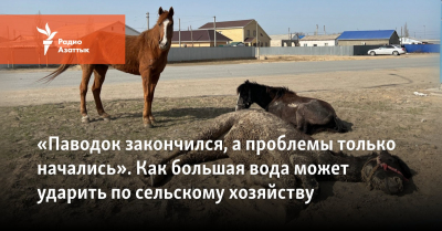 «Паводок закончился, а проблемы только начались». Как большая вода может ударить по сельскому хозяйству 