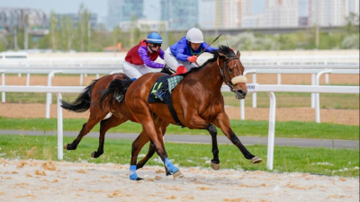 Турнир Astana Cup: участие приняли 100 лучших скакунов страны