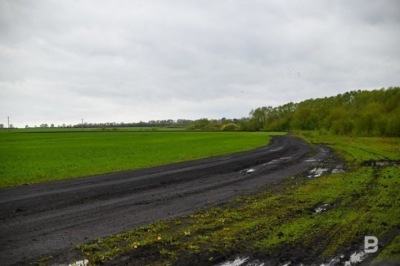 Жители Татарстана смогут узнавать о нарушениях земельного контроля в ЕГРН